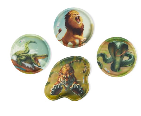 Cubo Set ExBärdition