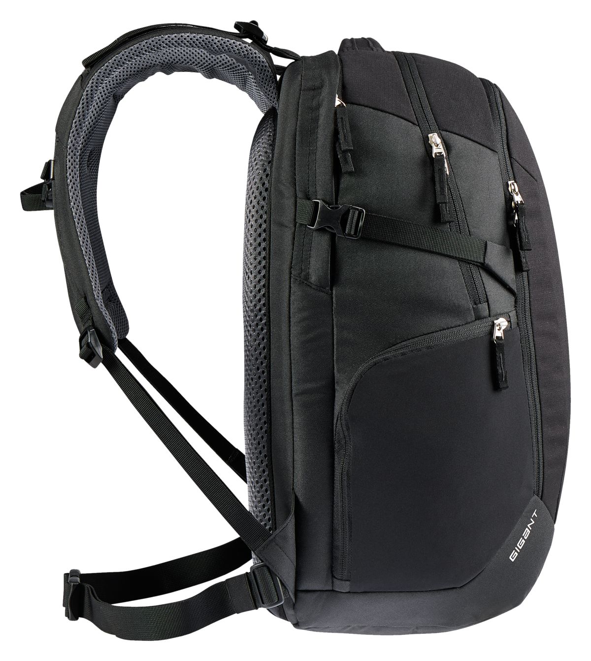 Gigant black