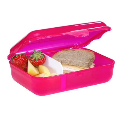 Lunchbox Wild Horse Nora,
