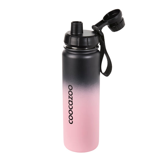 Isolierte Edelstahl-Trinkflasche Gradient Rose