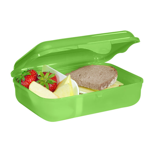 Lunchbox Dino Targo,