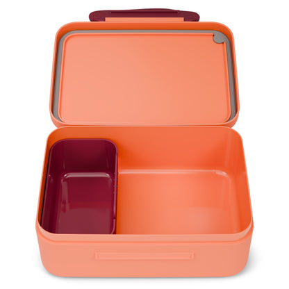 Kunststoff-Brotdosen Tiger