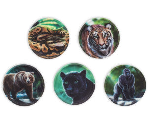 Kletties-Set Dschungel